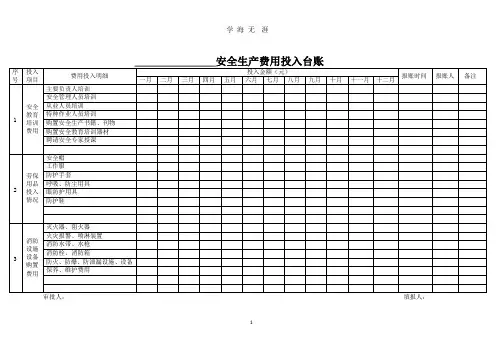 安全生产费用投入台账(模版)(整理).pptx