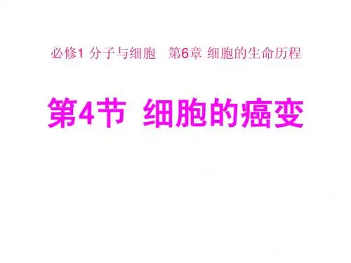《细胞的癌变》课件3 (新人教版必修1)