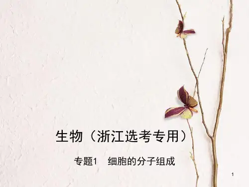 (B版,浙江选考专用)2019版高考生物总复习专题1细胞的分子组成课件