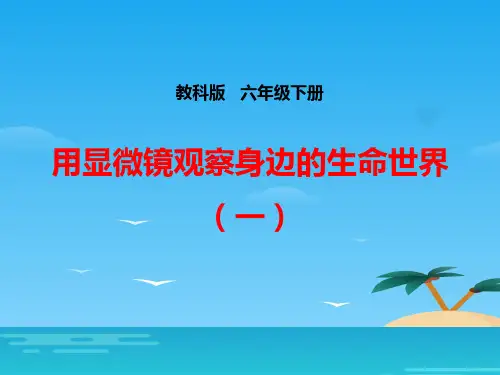 《用显微镜观察身边的生命世界(一)》微小世界PPT下载[优秀课件资料]
