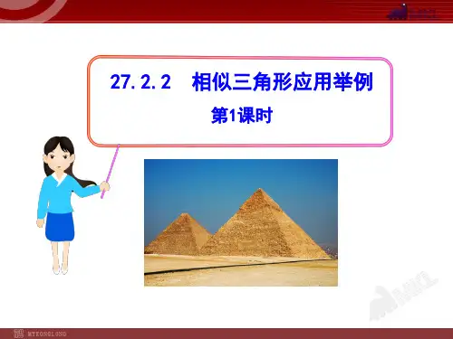 测量(金字塔高度、河宽)问题