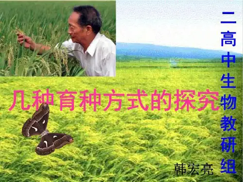 几种育种方式