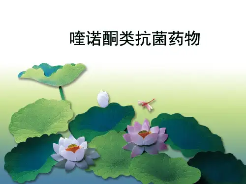 喹诺酮类抗菌药物
