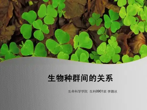 生态学-种群关系