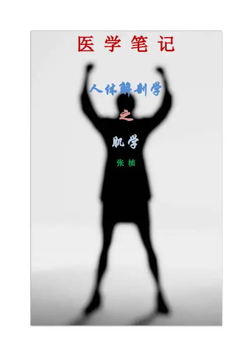 人体解剖学之肌学