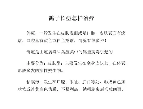 鸽子长痘怎样治疗