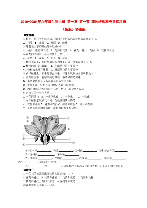 2019-2020年八年级生物上册 第一章 第一节 花的结构和类型练习题 (新版)济南版