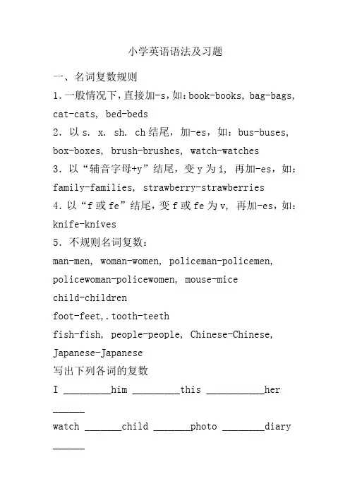 PEP小学六年级英语下册复习语法知识及配套习题