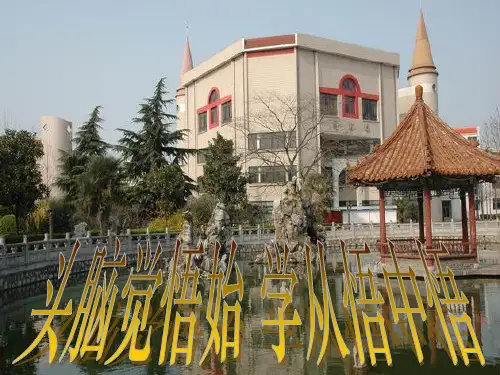 充分条件和必要条件1(理)(精)