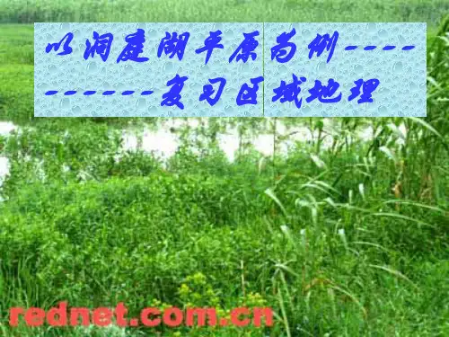 以洞庭湖平原为例