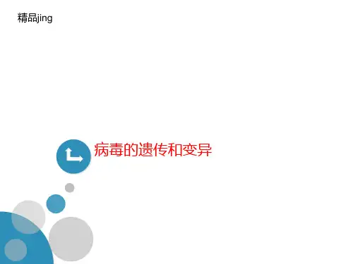 病毒的遗传和变异-课件