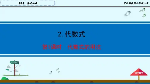 沪科版七年级数学上册2.1.2 第1课时 代数式的用法