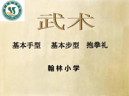 武术基本手型与基本步型