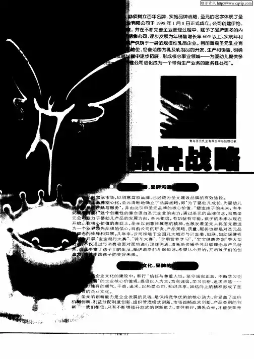 实施品牌战略铸就百年企业