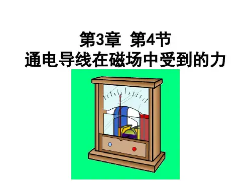 通电导线在磁场中受力(上课)