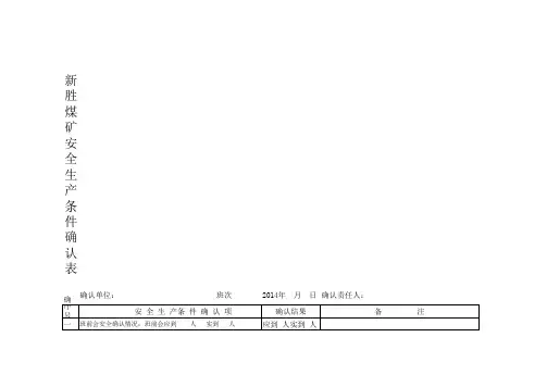 新胜煤矿班组安全生产条件确认表