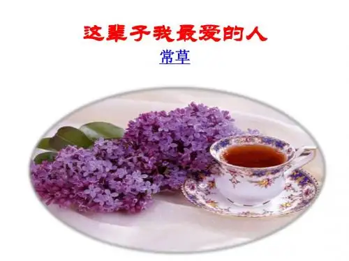 这辈子我最爱的人