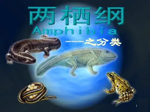 第18章 两栖纲分类