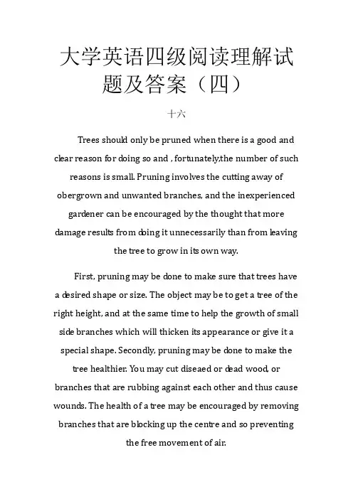 大学英语四级阅读理解试题及答案(四)