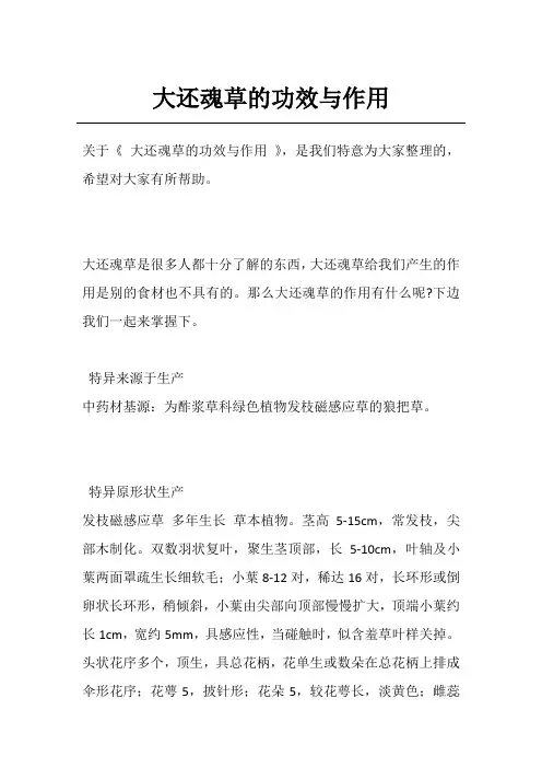 大还魂草的功效与作用