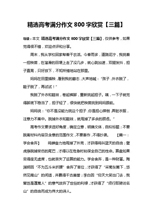 精选高考满分作文800字欣赏【三篇】