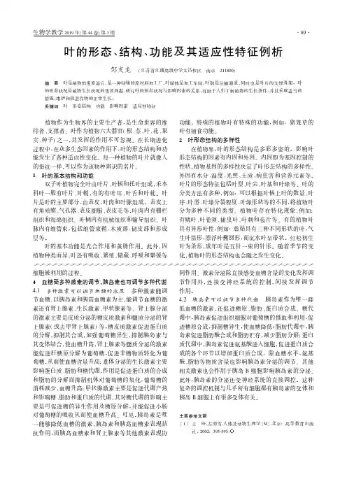 叶的形态、结构、功能及其适应性特征例析