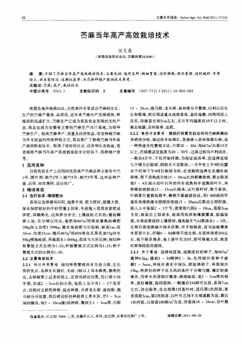 苎麻当年高产高效栽培技术