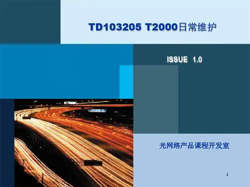 TD103205 T2000日常维护ISSUE1.0