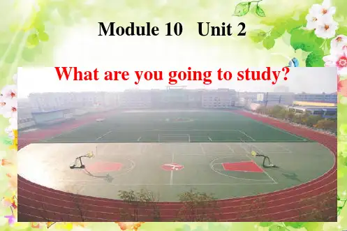 外研版(三起)六下英语课件:M10U2