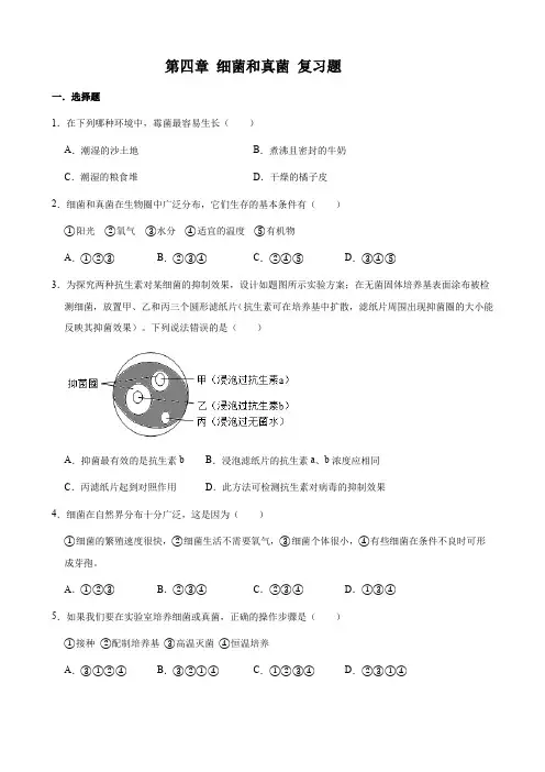 人教版八年级上册生物  第五单元 第四章 细菌和真菌 复习题(含答案)
