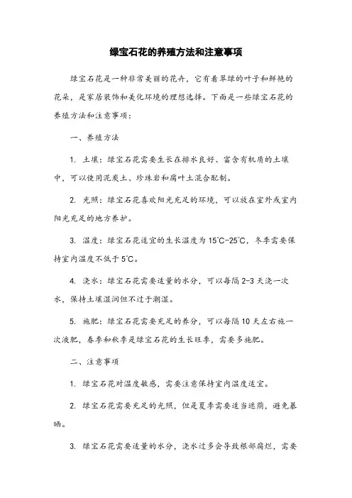 绿宝石花的养殖方法和注意事项