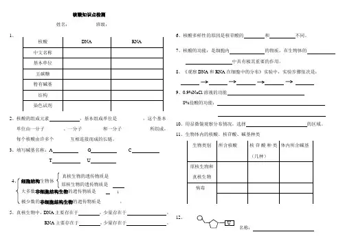 高中生物必修一第二章第三节核酸知识点检测