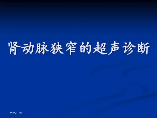 肾动脉狭窄的超声诊断 ppt课件