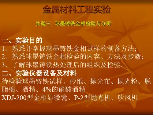 金属材料工程实验三球墨铸铁金相检验