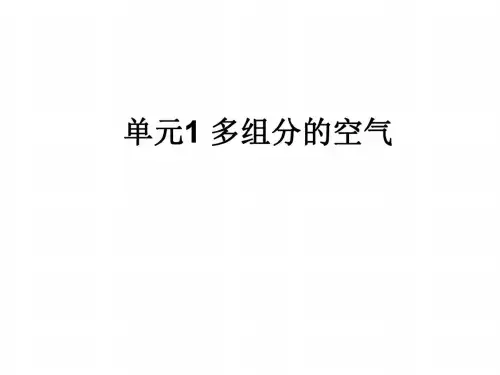 九年级化学多组分的空气
