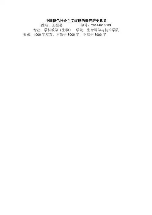 中国特色社会主义道路的历史意义