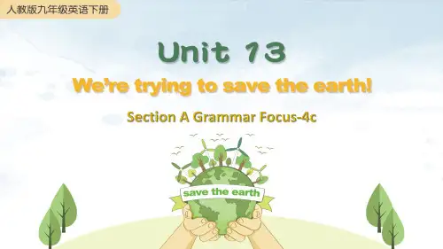 人教版英语九年级下册《Unit 13 Section A Grammar Focus-4c》教学课件
