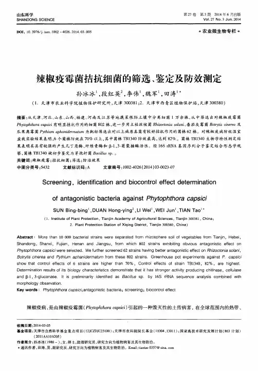 辣椒疫霉菌拮抗细菌的筛选、鉴定及防效测定