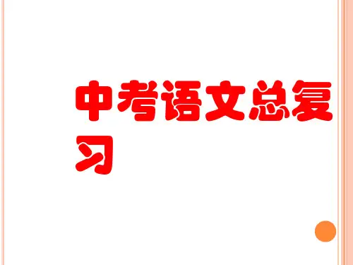 中考语文总复习.ppt