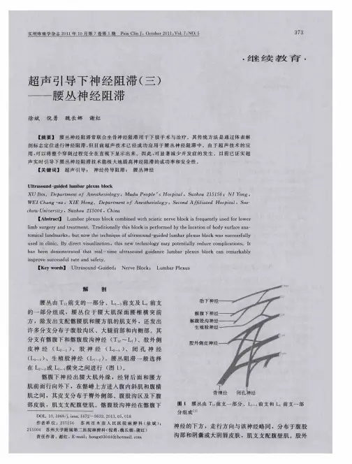 超声引导下神经阻滞(三)——腰丛神经阻滞