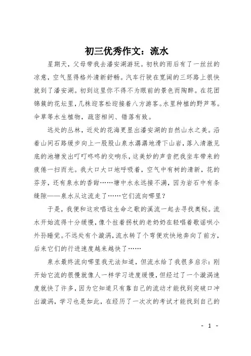 初三优秀作文：流水