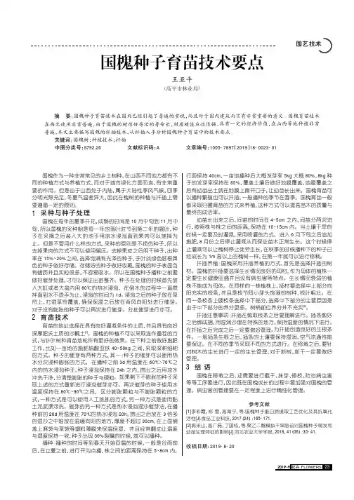 国槐种子育苗技术要点