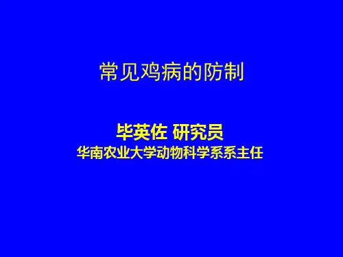 常见鸡病防治