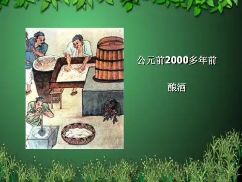 酶