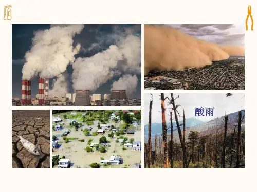 5.1生态工程的基本原理