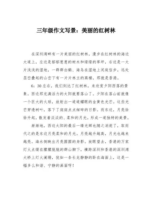 三年级作文写景：美丽的红树林