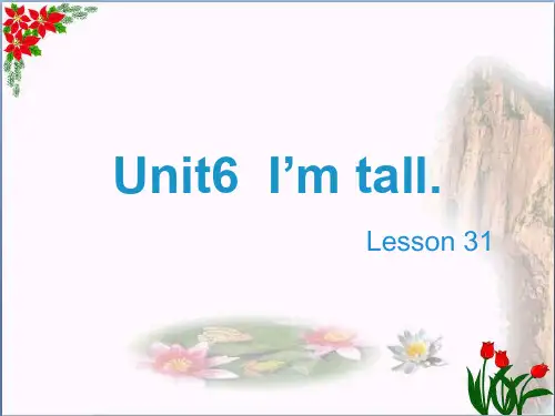 四年级英语上册 Unit 6 I’m tall(Lesson 31)教学课件 人教精通版