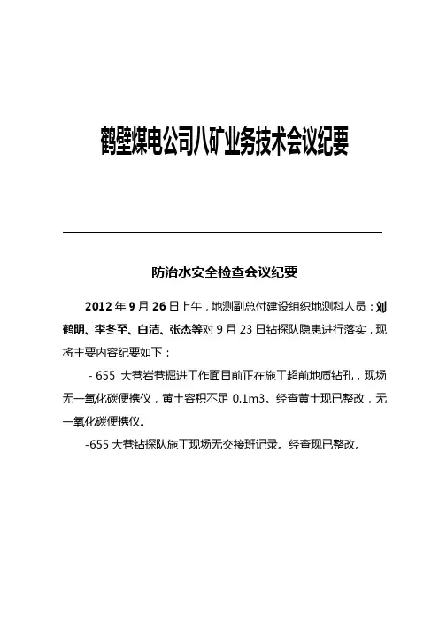 防治水安全检查会议纪要