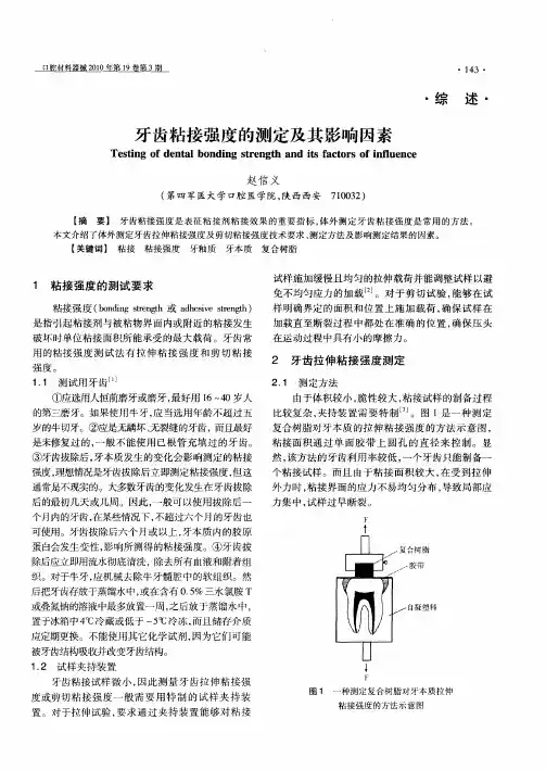 牙齿粘接强度的测定及其影响因素