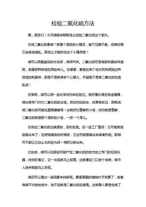 检验二氧化硫方法